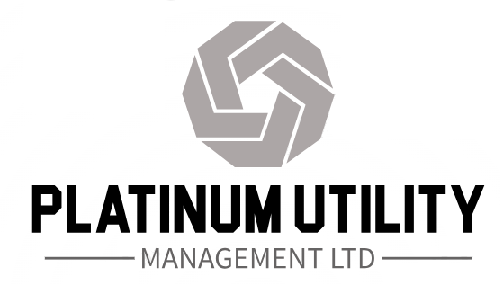 Platinum Utility